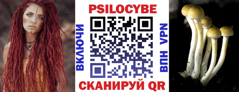 Псилоцибиновые грибы GOLDEN TEACHER  Чегем 